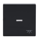 Busch-Jaeger Wippe mit Symbol Licht anthrazit, Retail