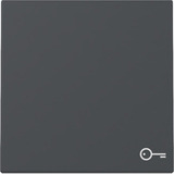 Gira Wippe Symbol Tür anthrazit, Retail