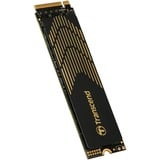 Transcend 240S 1 TB, SSD schwarz/gold, PCIe 4.0 x4, NVMe, M.2 2280