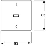 Busch-Jaeger Kontroll-Wippe mit Aufdruck Ein-Aus 1788-82 weiß, Retail