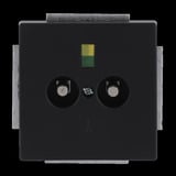 Busch-Jaeger Potentialausgleich Dose zweifach Unterputz schwarz (matt), Retail