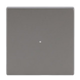 Busch-Jaeger Wippe Edelstahl edelstahl, Retail