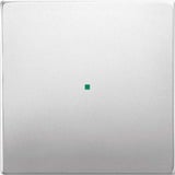 Busch-Jaeger Wippe Edelstahl edelstahl, Retail