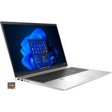 HP EliteBook 865 G9 (6F6H4EA), Notebook silber, Windows 11 Pro 64-Bit, 256 GB SSD