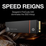 Seagate FireCuda 530 500 GB mit Kühlkörper, SSD schwarz, PCIe 4.0 x4, NVMe 1.4, M.2 2280
