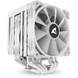 Sharkoon A60 RGB, CPU-Kühler weiß, 120 mm