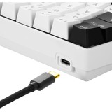 Sharkoon SKILLER SGK50 S4, Gaming-Tastatur weiß/schwarz, DE-Layout, Kailh Blue