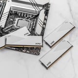 ADATA DIMM 32 GB DDR5-6000  , Arbeitsspeicher weiß, AX5U6000C3032G-CLAWH, Lancer, INTEL XMP