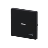 Busch-Jaeger Wippe mit Symbol Schlüssel schwarz, Retail