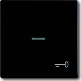 Busch-Jaeger Wippe mit Symbol Schlüssel schwarz, Retail