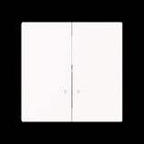 Busch-Jaeger Zentralscheibe 1785/11 K-44M, Abdeckung weiß, Retail