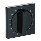 Busch-Jaeger Zentralscheibe Bedienelement, Abdeckung anthrazit, Retail