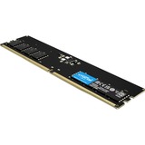 Crucial DIMM 32 GB DDR5-4800  , Arbeitsspeicher schwarz, CT32G48C40U5