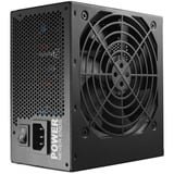 FSP HEXA 85+ PRO 550W, PC-Netzteil schwarz, 2x PCIe, 550 Watt