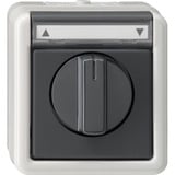 Gira Jalousietaster Schalter einpolig mit Drehknopf grau, Retail