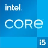 Intel® Core™ i5-12600KF, Prozessor Tray-Version, Tray