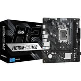 ASRock H610M-H2/M.2, Mainboard 