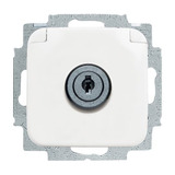 Busch-Jaeger Steckdosen-Einsatz aws weiß, Retail