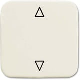 Busch-Jaeger Wippe Jalousietaster zweiteilige Ausführung mit Symbol Pfeile weiß, Retail