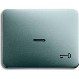 Busch-Jaeger Wippe mit Symbol Schlüssel titan, Retail