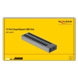 DeLOCK Externer SuperSpeed USB Hub mit 13 Ports + Schalter, USB-Hub 
