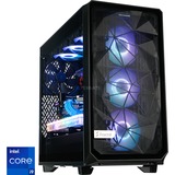 ALTERNATE PC NEXT Level Ultimate Intel Liquid Edition, Gaming-PC schwarz/transparent, Windows 11 Pro 64-Bit
