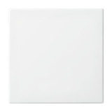 Busch-Jaeger Wippe einteilige Wippe Retail