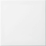 Busch-Jaeger Wippe einteilige Wippe Retail