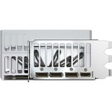 GIGABYTE GeForce RTX 5090 AORUS STEALTH ICE 32G, Grafikkarte DLSS 4, 3x DisplayPort, 1x HDMI 2.1