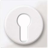 Merten Zentralplatte für genormte Profil-Halbzylinderschlösser mit 40 Millimeter Länge weiß (glänzend), Retail