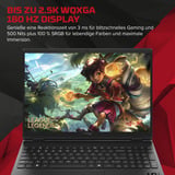 OMEN HyperX OMEN 15-gb0058ng, Gaming-Notebook AMD Ryzen 5 240, NVIDIA GeForce RTX 5060, 16 GB DDR5, 512 GB (512 GB SSD), Windows 11 Home