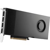 PNY NVIDIA RTX PRO 4000 Blackwell 24GB SB, Grafikkarte Bulk