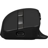 ASUS ProArt Mouse MD301, Maus schwarz