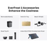 Anker SOLIX EverFrost 2 40L, Kühlbox grau/schwarz