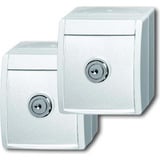 Busch-Jaeger Steckdose 20/20 Einbausteckdose Aufputz weiß, Retail