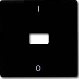 Busch-Jaeger Wippe mit Kontroll-Ausdruck anthrazit, Retail