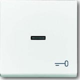 Busch-Jaeger Wippe mit Symbol Schlüssel 1789 TR-84 weiß (glänzend), Retail