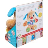 Fisher-Price Lernspaß Hündchen, Kuscheltier mehrfarbig/hellbraun, Baby-Spielzeug mit Musik