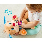 Fisher-Price Lernspaß Hündchen, Kuscheltier mehrfarbig/hellbraun, Baby-Spielzeug mit Musik
