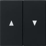 Gira Wippe zweifach mit Pfeilsymbol, lackiert, matt, Kunststoff, Thermoplast, IP20 schwarz (matt), Retail