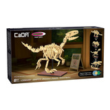 Jamara Dinosaurier Fossil Velociraptor im Maßstab 1:9, Modellbau beige