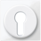 Merten Zentralplatte für genormte Profil-Halbzylinderschlösser mit 40 Millimeter Länge weiß (glänzend), Retail