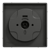 Merten Zentralplatte mit Drehknopf für Dimmer, Typ MEG5250-6034, lackierter Thermoplast anthrazit, Retail