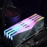 ADATA CUDIMM 48 GB DDR5-8400 (2x 24 GB) Dual-Kit, Arbeitsspeicher silber, AX5CU8400C4024G-DCLACRSG, XPG Lancer Neon RGB