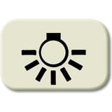 Busch-Jaeger Tastersymbol 2525 LI, Rahmen weiß, Retail