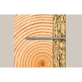 fischer Meisterbox PowerFast II Senkkopf TG/VG TX, Schrauben-Set 220 Teile, Teil- und Vollgewinde, verzinkt