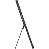 ASUS ZenScreen MB16FC, LED-Monitor 40 cm (16 Zoll), schwarz, WUXGA, IPS, Mini-HDMI, USB-C