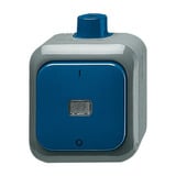 Busch-Jaeger Ausschalter zwei-polig Wipp-Wechselschalter 2601/2 WDI Retail