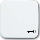 Busch-Jaeger Wippe einteilige mit Symbol Schlüssel weiß, Retail