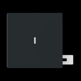 Busch-Jaeger Wippe mit Kalotte Kontroll schwarz, Retail